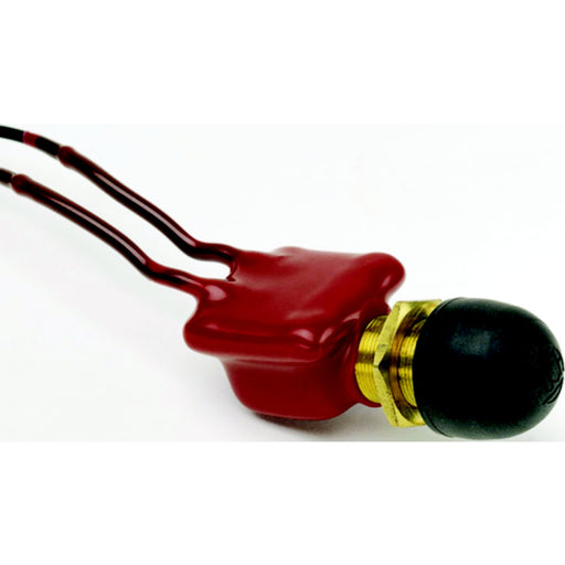 Coated Push Button Swtch w/12