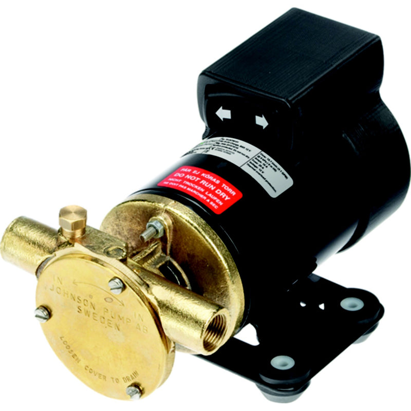 Johnson Pump 102476003 F3B-19 Reversible Oil Change Pump, 12V