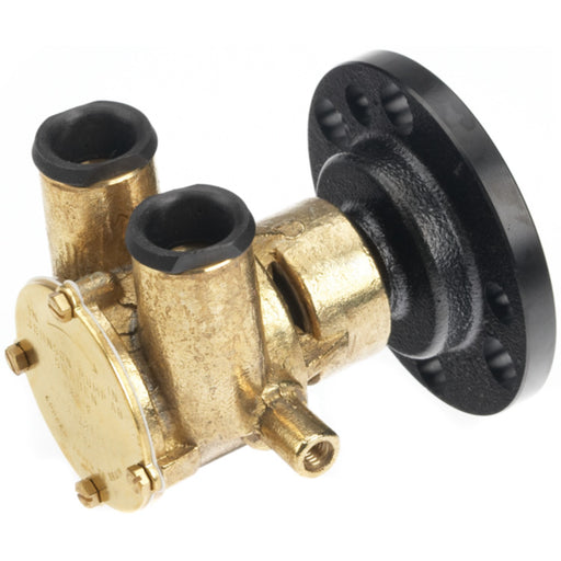 Johnson Pump 10249601 F6B-9 Bronze Flexible Impeller Pump