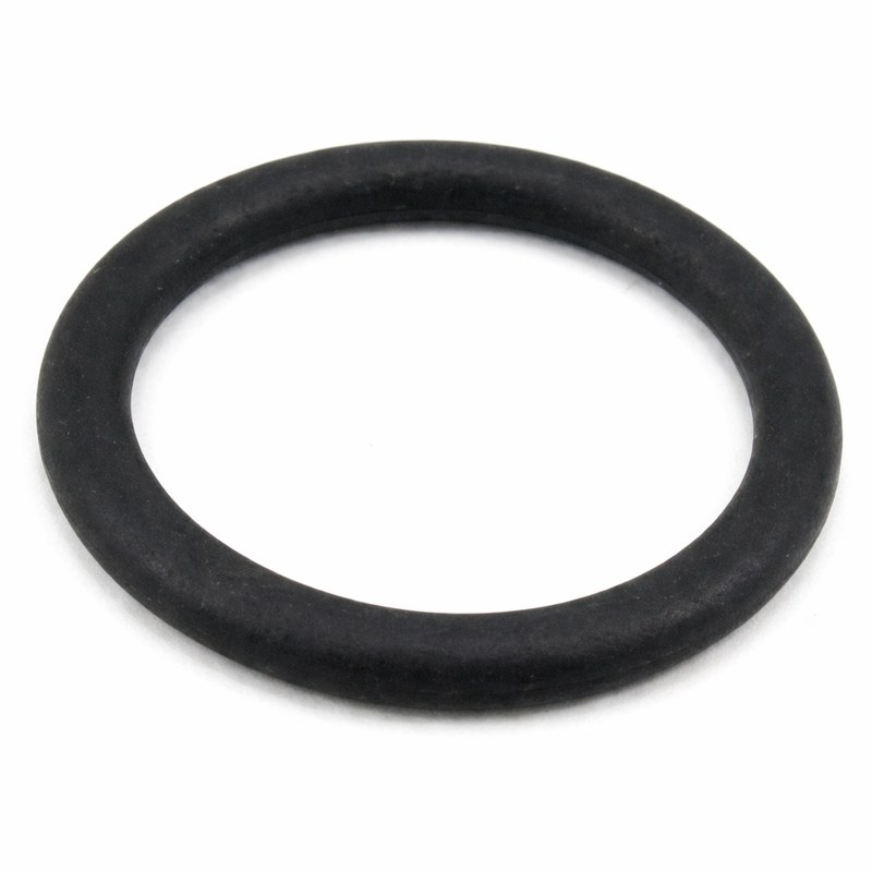 PCM O-Ring R047245