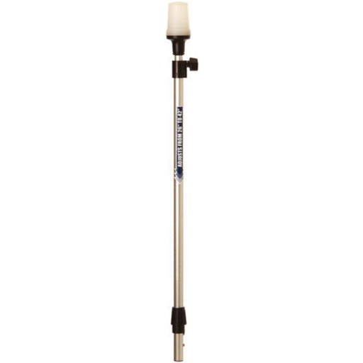 Telescoping Pole Light