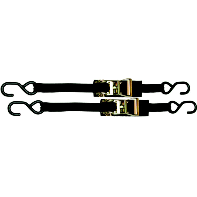 BoatBuckle Ratchet Transom/Utility Tie-Down 1" x 3.5' (2 Per Pack)