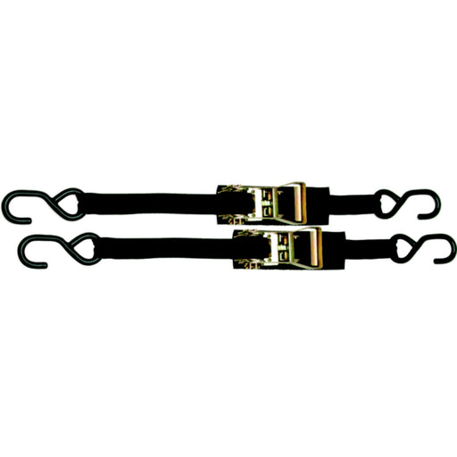 BoatBuckle Ratchet Transom/Utility Tie-Down 1" x 3.5' (2 Per Pack)