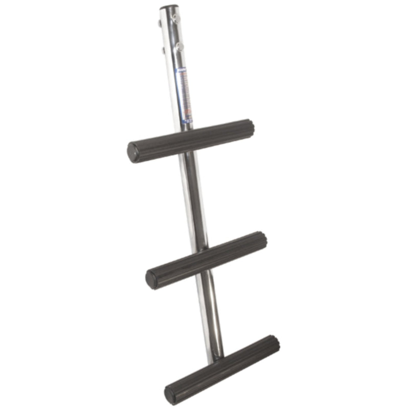 Diver 3 Step SS Ladder