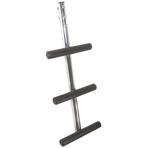 Diver 3 Step SS Ladder