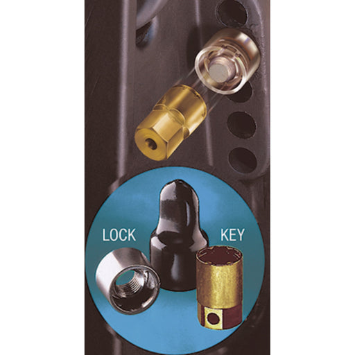 Outboard Lock 40Hp Mercury & Up