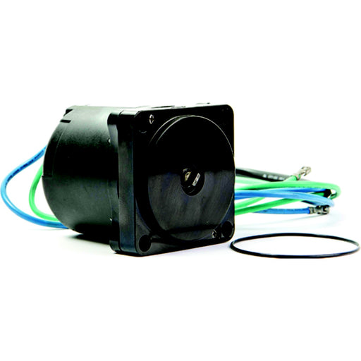 Tilt & Trim Motors
