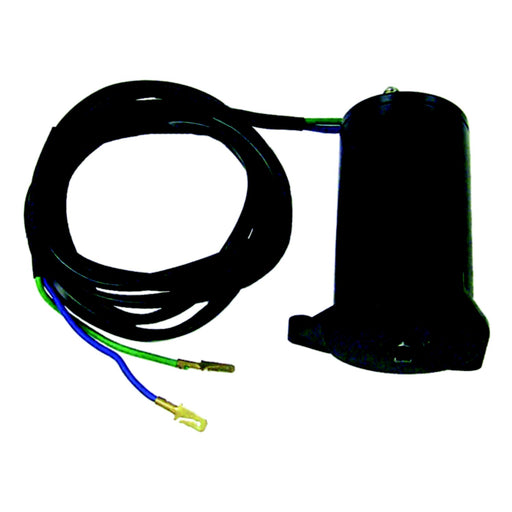 Tilt & Trim Motors