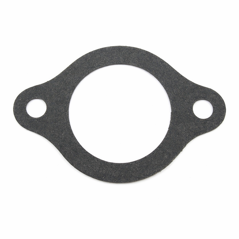 PCM Gasket RM0121