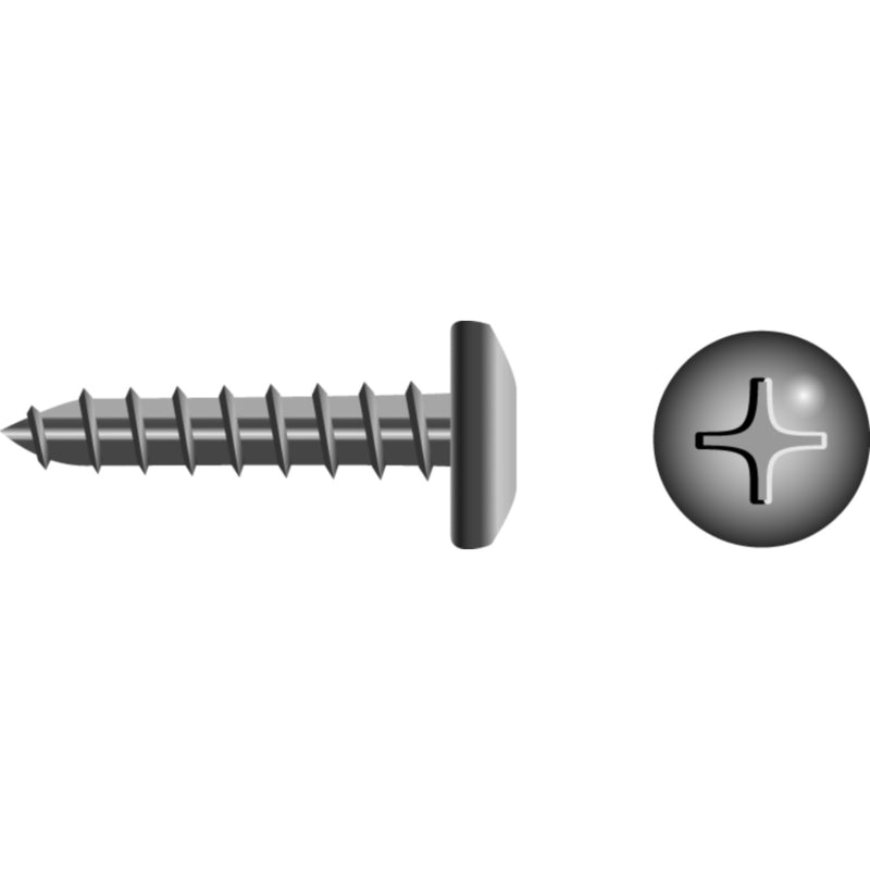 Phillips Tapping Screw - Pan Head, #10 x 3/4"