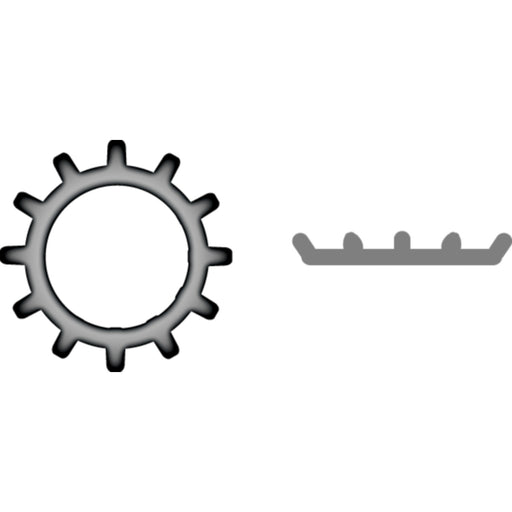 Stainless External Tooth Lock Washer 1/4"