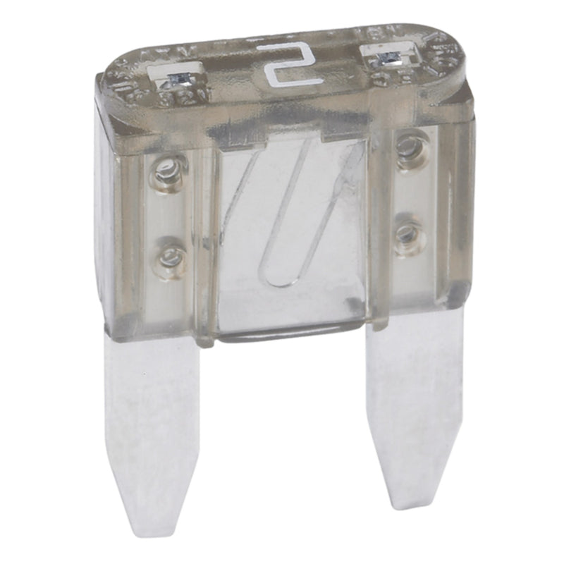 Seachoice ATM Blade Fuses, 2 Amp, 5/pk