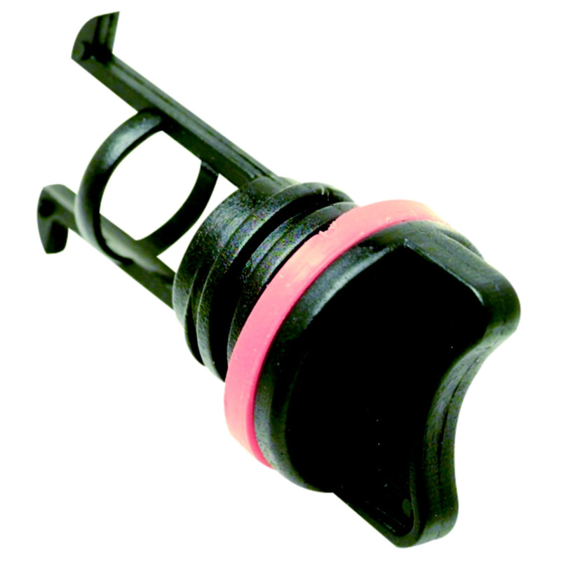 Replacement Plug & Gasket