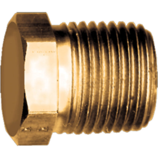 Fairview 121C Brass Hex Head Pipe Plug, 3/8" NPT, CORED
