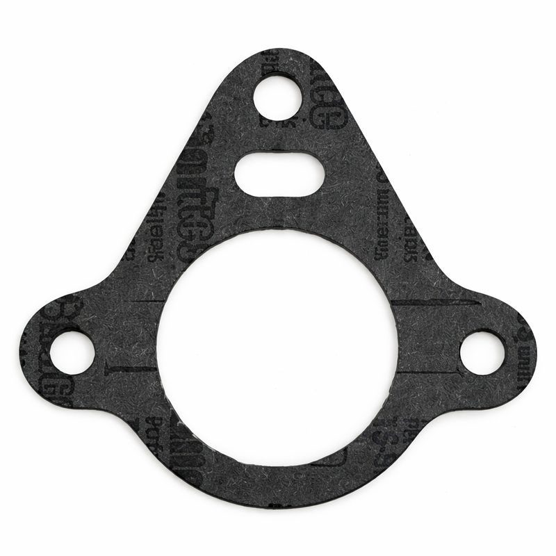 PCM Gasket RM0266