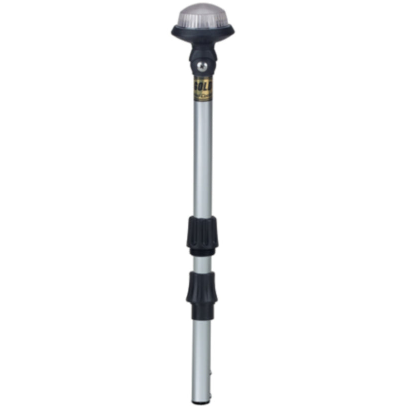 60" Delta Pole Light