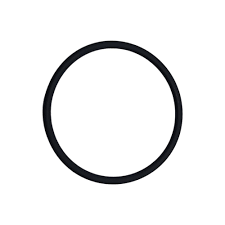 Cummins O-Ring Seal 145582