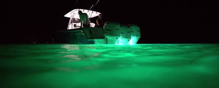 OceanLED Sport Series S3116S Underwater LED Light — Ultra White | 012102W