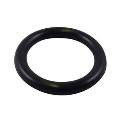 PCM O-Ring 22800