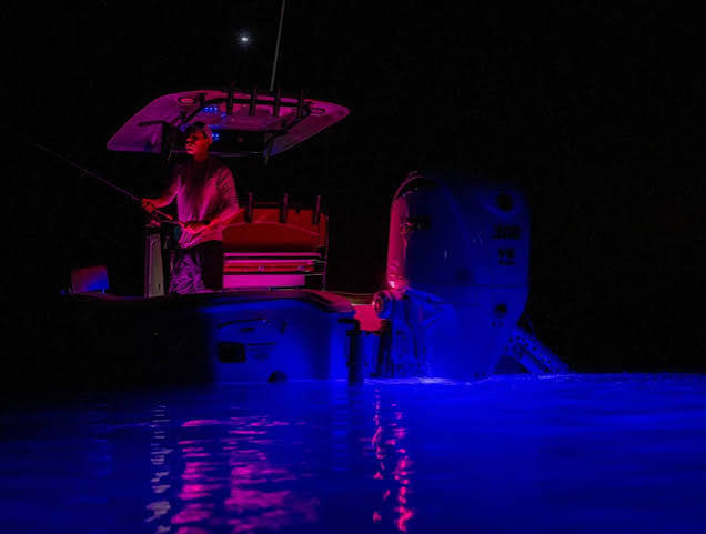 OceanLED X4 Xtreme Underwater LED Light — Midnight Blue | 012302B