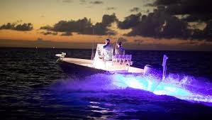 OceanLED Explore E2 XFM Underwater LED Light — Wide Beam, Ultra White | E2009W