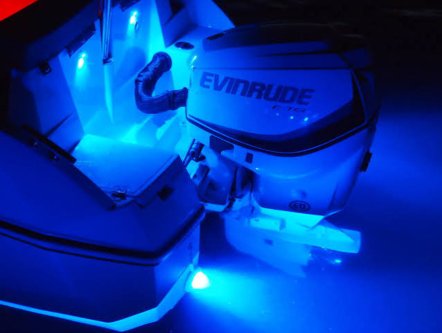 Lumitec Andros Courtesy Light – White Case, Blue LED (101047)