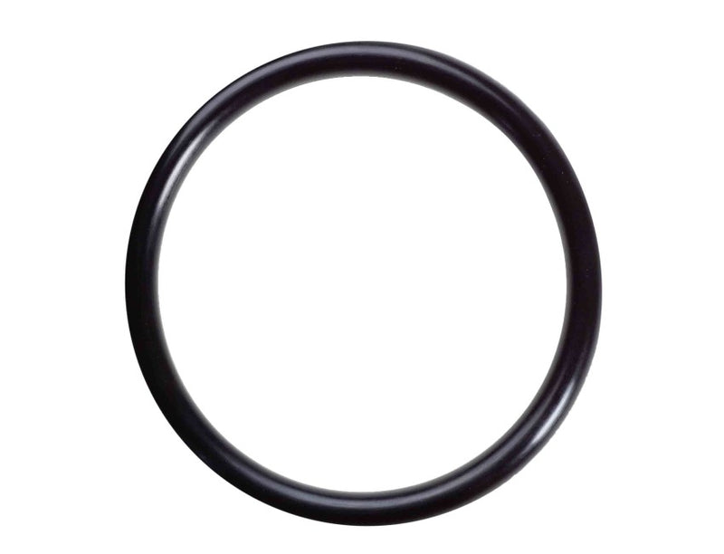 Yanmar OEM O-Ring 1mm x 4mm ID 24311-000400