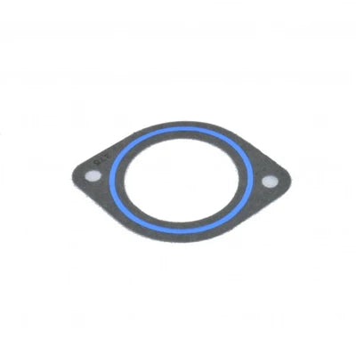 PCM Gasket RM0309