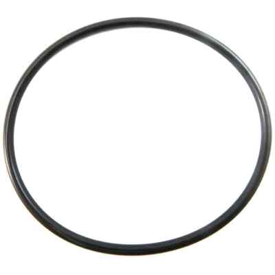 PCM O-Ring R047203